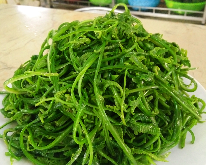 Rau[-]dớn[-]-[-]Sản[-]vật[-]độc[-]đáo[-]của[-]núi[-]rừng[-]Yên[-]Tử[-]ít[-]người[-]biết[-]đến